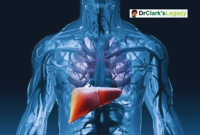 Fatty Liver