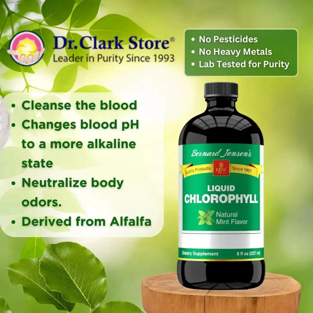 Liquid Chlorophyll, Mint Flavor, 16 fl oz