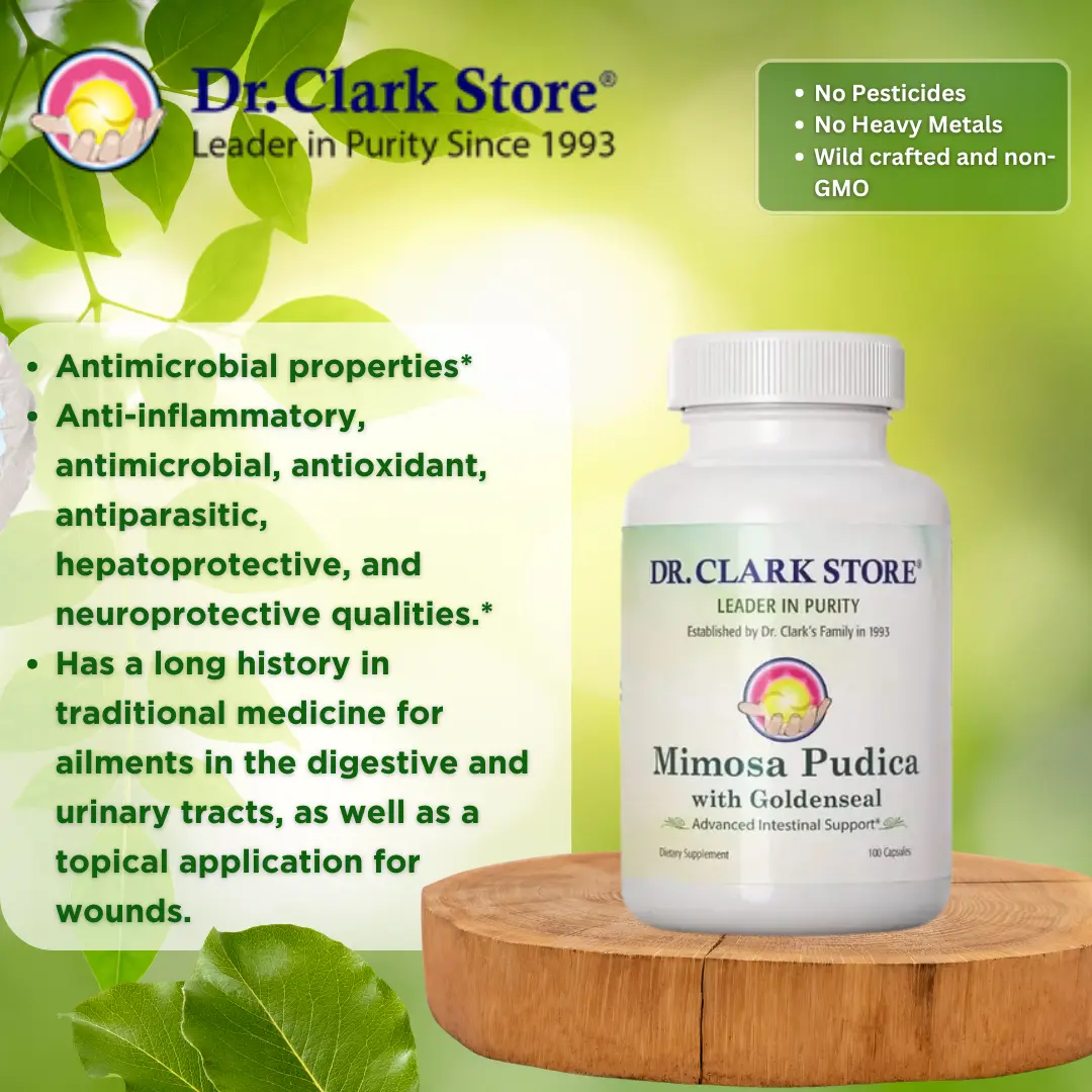 Mimosa Pudica with Goldenseal, 100 capsules